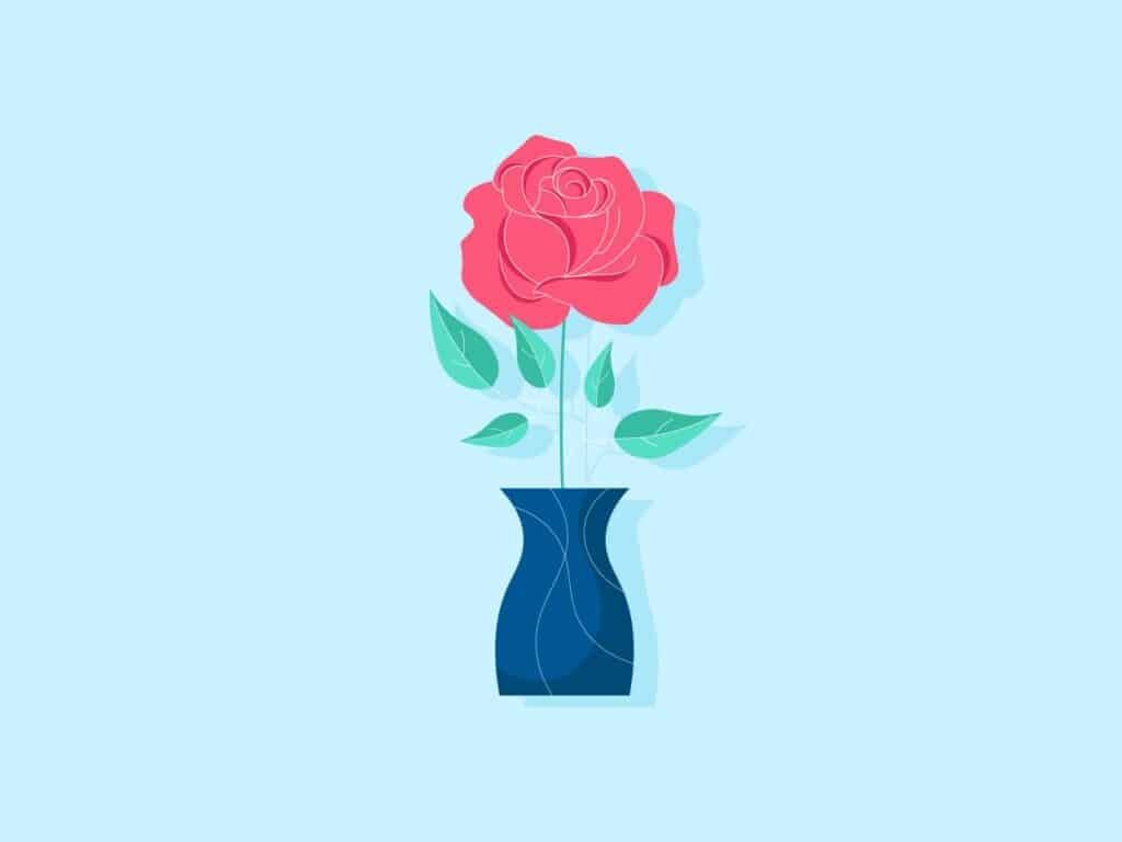 Illustrating how the Rose plant looks like
