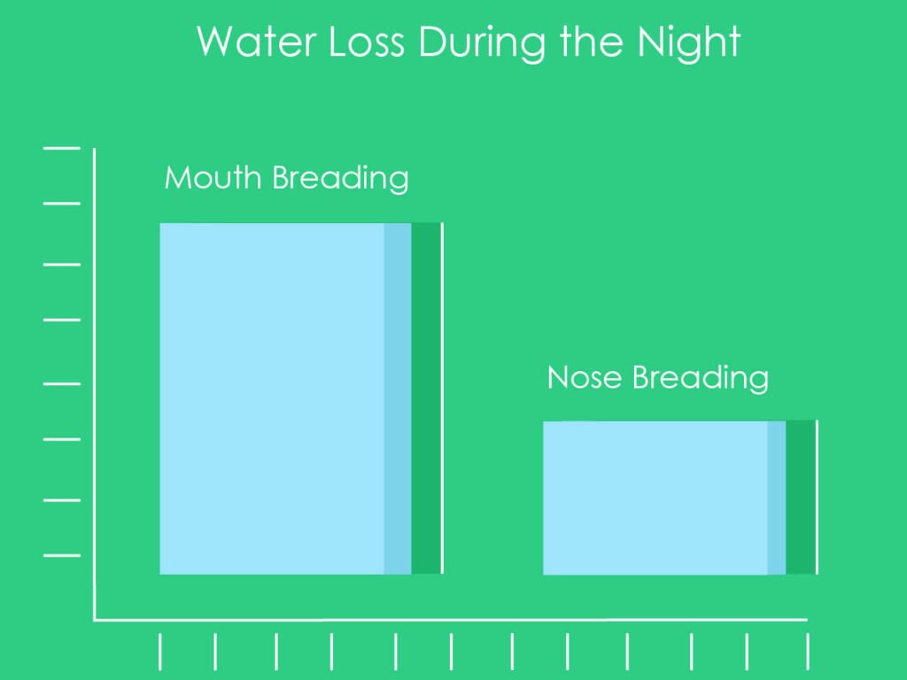 A comparison graph of the amount of water loss with mouth breading VS nose breading during bed time 